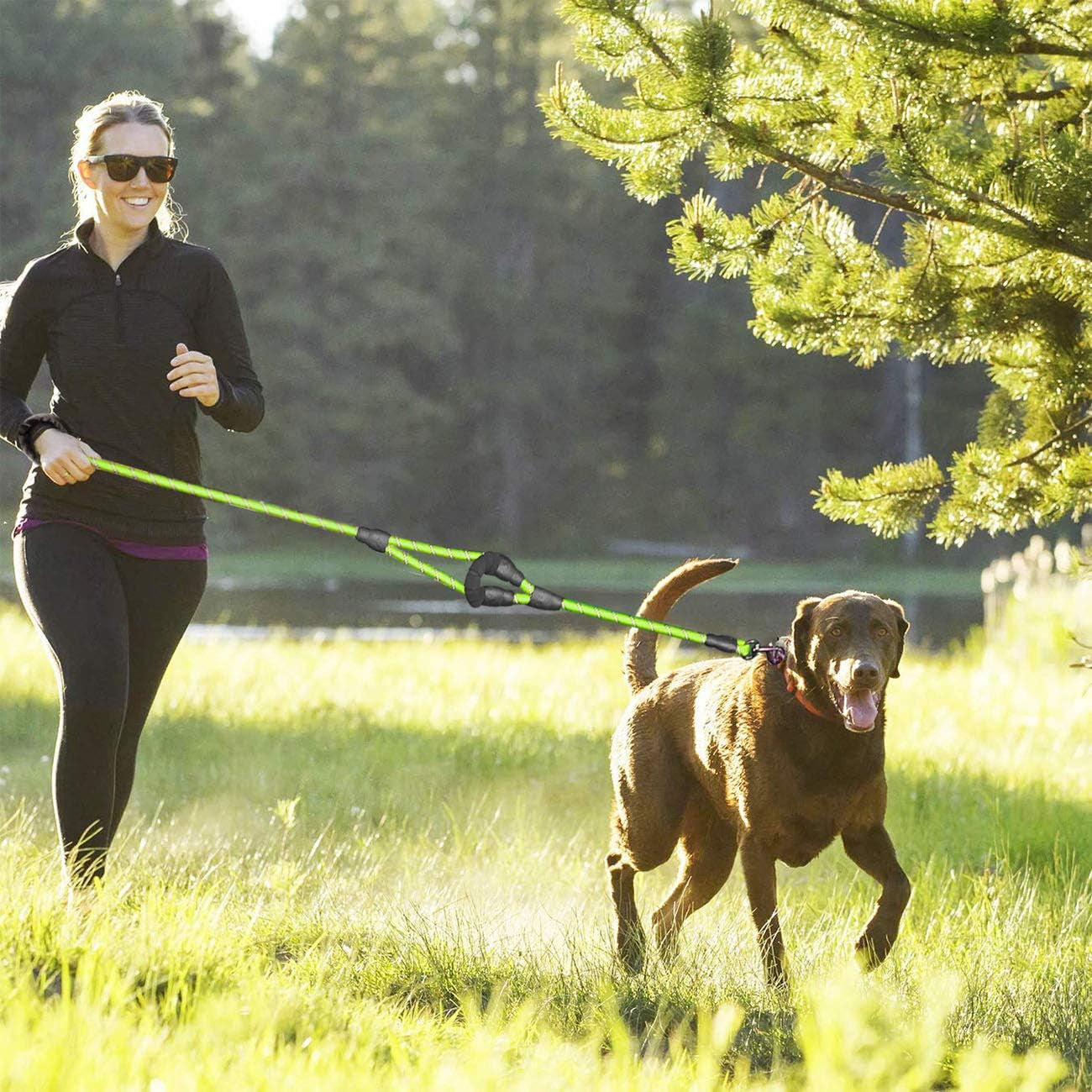 Heavy Duty Double Handle Dog Leash - 5 FT with Comfortable Padded and Reflective Rope for Small, Medium, Large Dogs (Rope-Green)