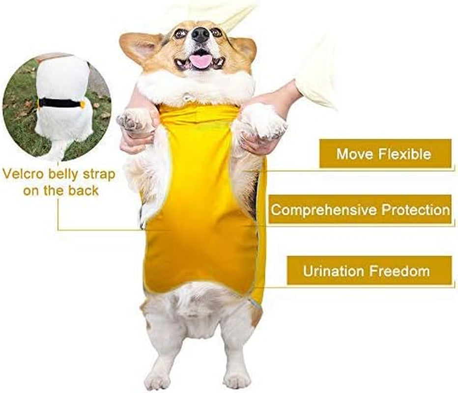 Waterproof Dog Rain Jacket with Hood - Reflective Strip, Adjustable Belly Strap, Lightweight Poncho with Storage Bag (Small, Yellow)