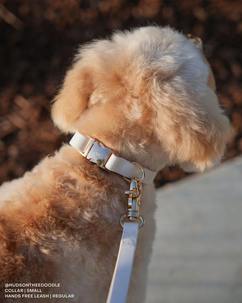 Cloud Waterproof Dog Collar Adjustable with Quick Release Buckle