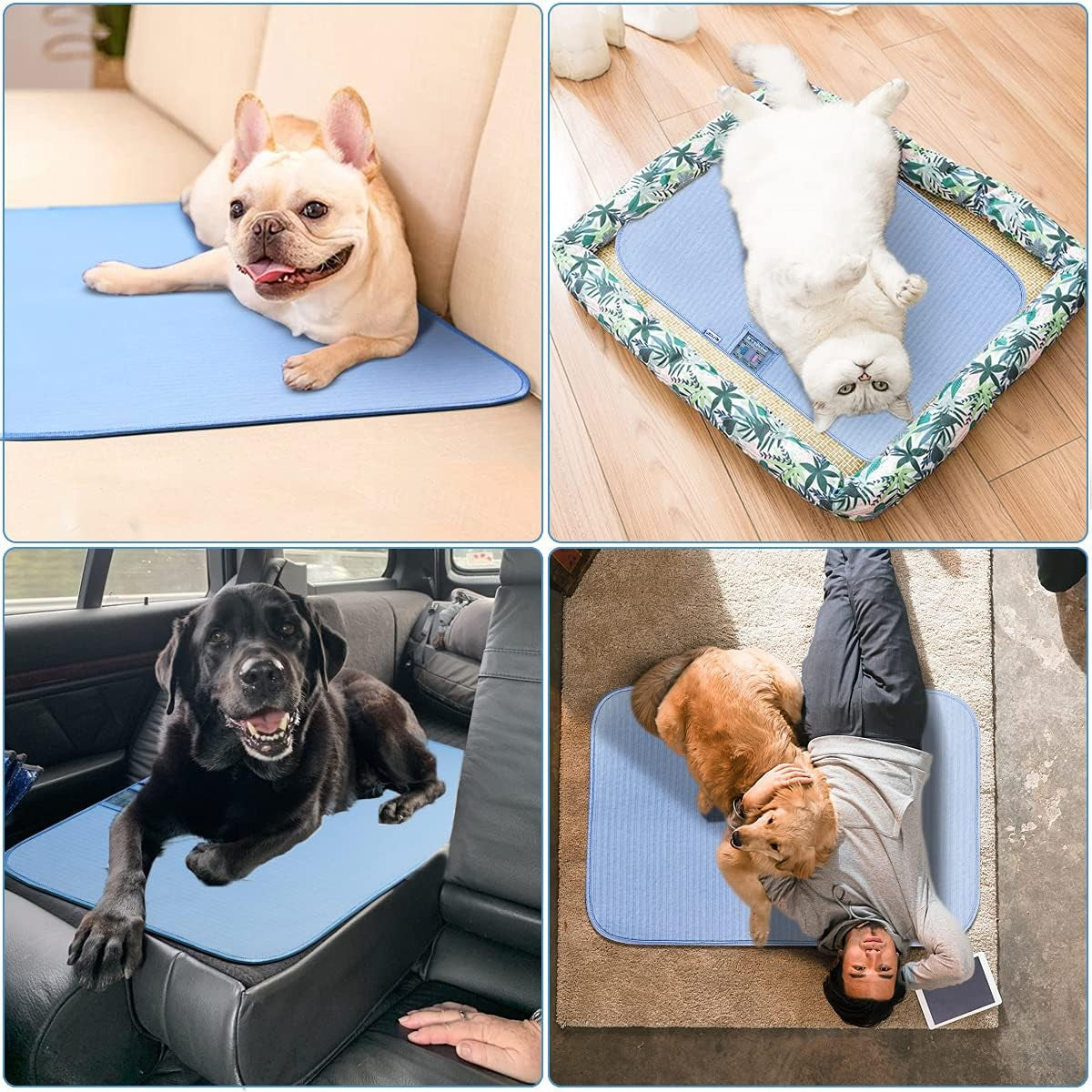 Portable Dog Cooling Mat & Summer Sleeping Pad Easy Clean Dog Bed - Waterproof, Machine Washable, Non Slip, Chew Proof, Reusable Pet Pee Pad for Dog, Cat and Rabbit. (20"X 30") M, Blue