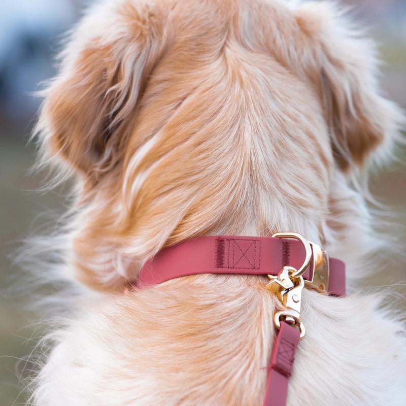 Cloud Waterproof Dog Collar Adjustable with Quick Release Buckle