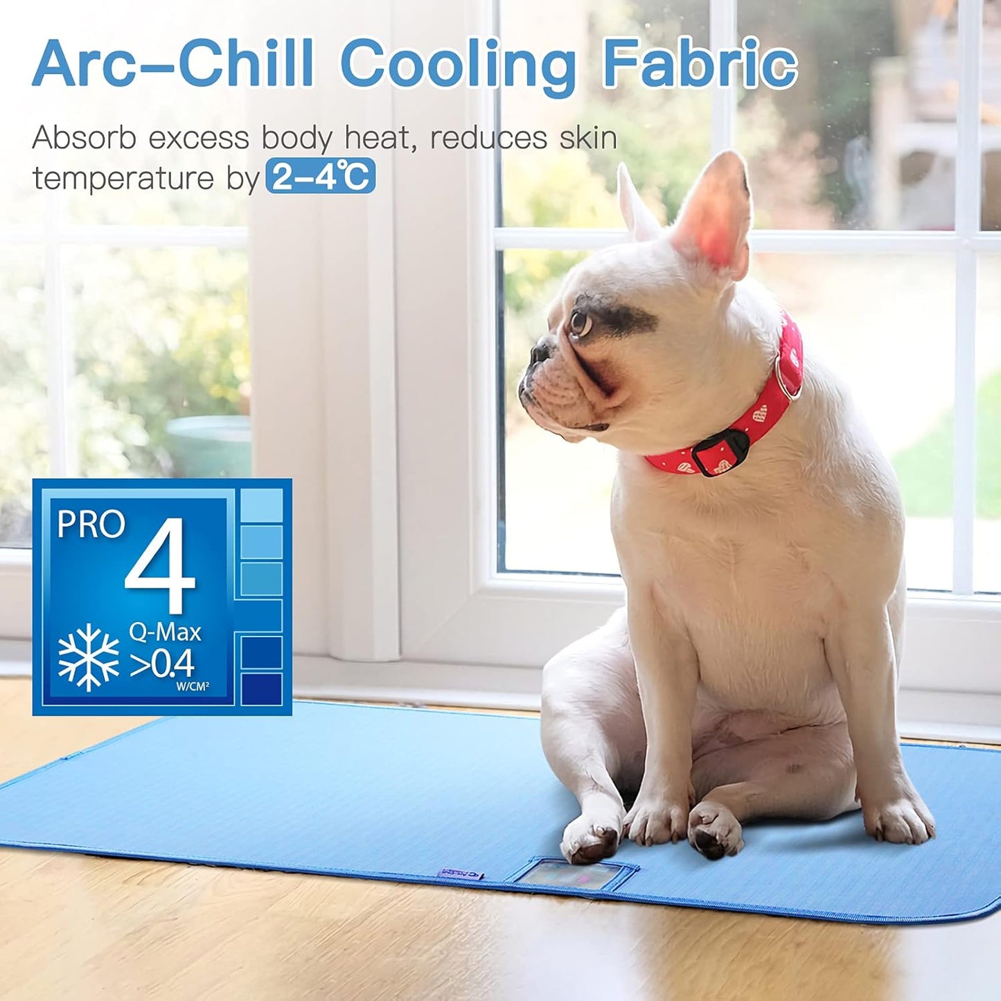 Portable Dog Cooling Mat & Summer Sleeping Pad Easy Clean Dog Bed - Waterproof, Machine Washable, Non Slip, Chew Proof, Reusable Pet Pee Pad for Dog, Cat and Rabbit. (20"X 30") M, Blue