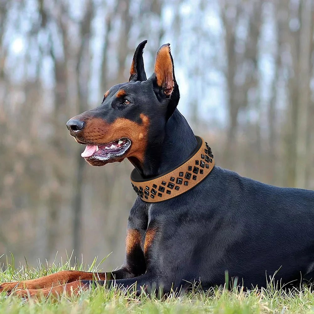 Collars