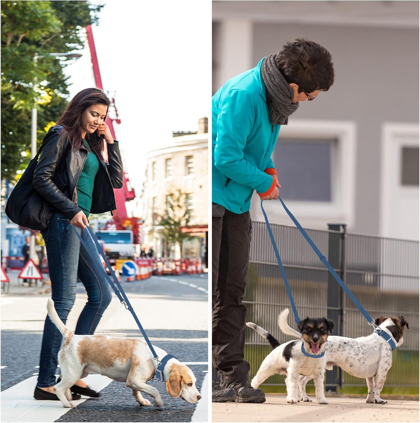 Waterproof Standard Dog Leashes with 2 Hooks, 5 Ft/ 6 Ft Lengths, Adjustable for Traffic Control Safety, for Small, Medium & Large Dogs Walking (Navy,L)