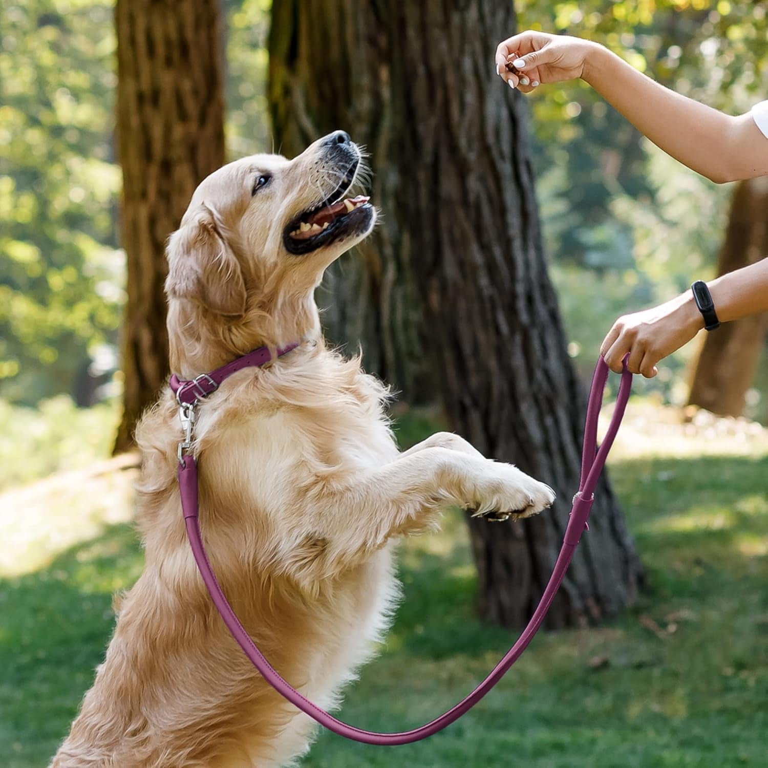 Rolled Leather Dog Leash 6Ft, Soft Training Leather Dog Leash for Puppy and Grown Dog Small Medium Large Black Blue Red Orange Green Pink White (Pink, Size L 6Ft)