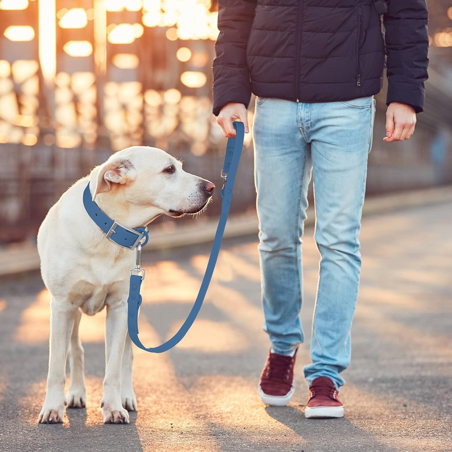Waterproof Standard Dog Leashes with 2 Hooks, 5 Ft/ 6 Ft Lengths, Adjustable for Traffic Control Safety, for Small, Medium & Large Dogs Walking (Navy,L)