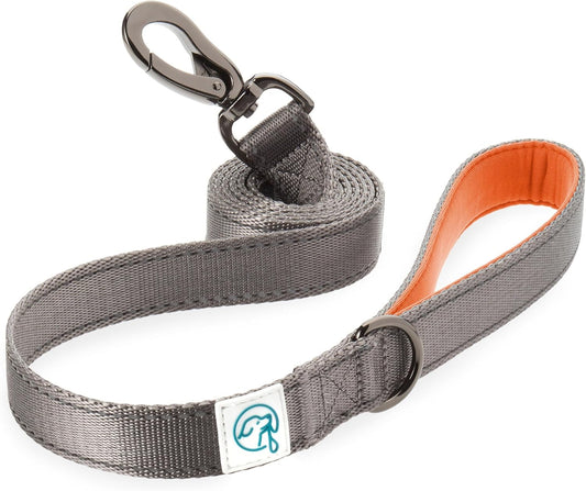 Embark Adventure Dog Leashes - Colorful, Strong Nylon Leashes for Small, Medium & Large Dogs, Heavy Duty Black Leash